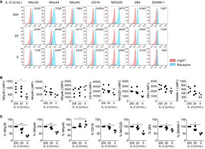 Interleukin-2 is required for NKp30-dependent NK cell cytotoxicity by preferentially regulating NKp30 expression
